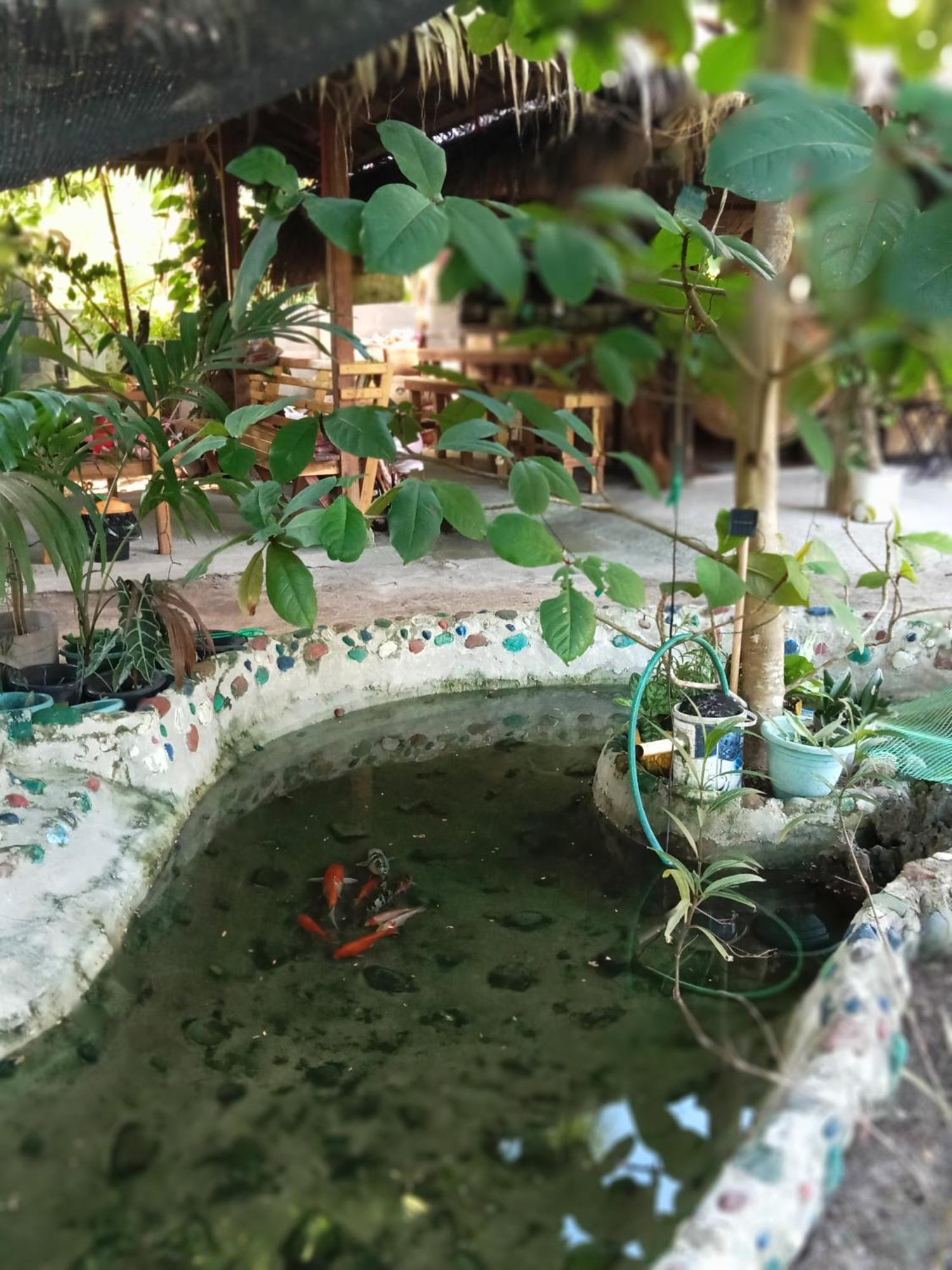 Weeroona Huts Homestay Pacifico San Isidro  Kültér fotó